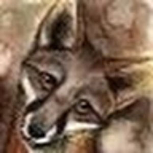 Meet your Posher, Anonymous